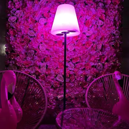L'angolo Rosa *