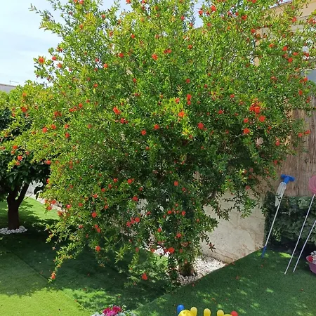 L’angolo Rosa Appartamento Carosino