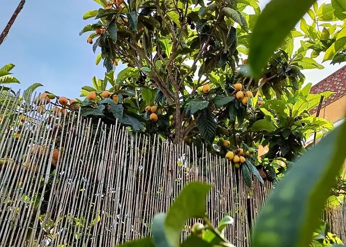 L'angolo Rosa דירה