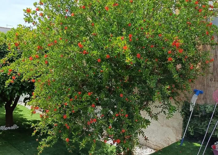 L'angolo Rosa דירה Carosino