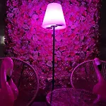 L'angolo Rosa *