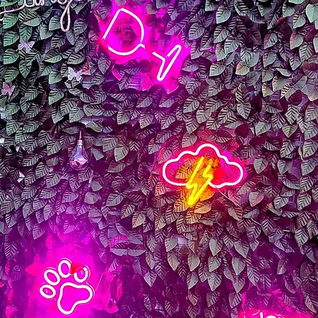 Apartment L'angolo Rosa Carosino