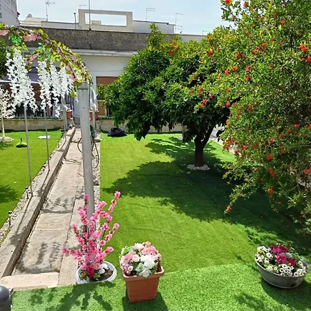 L'angolo Rosa * Carosino
