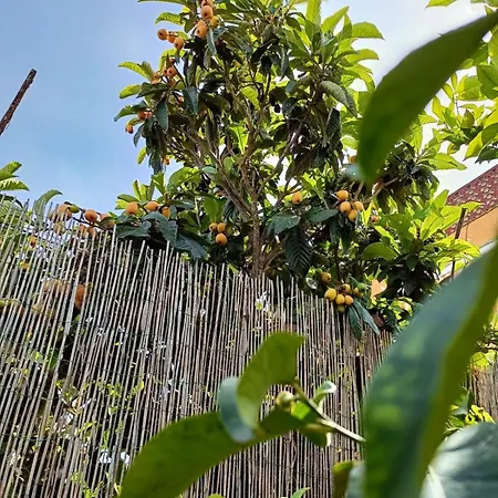 L'angolo Rosa Apartment