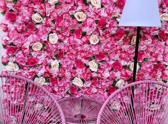 Daire L'angolo Rosa *